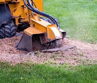 Stump grinder in action